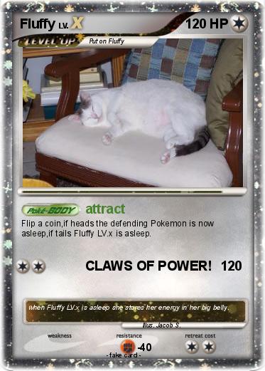 Pokemon Fluffy