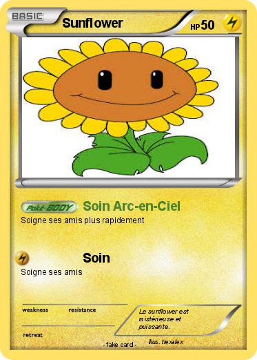 Pokemon Sunflower