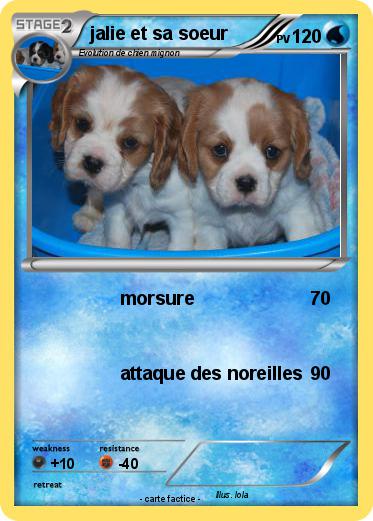Pokemon jalie et sa soeur