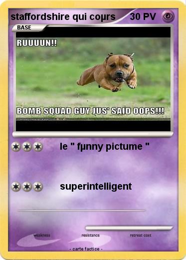 Pokemon staffordshire qui coµrs