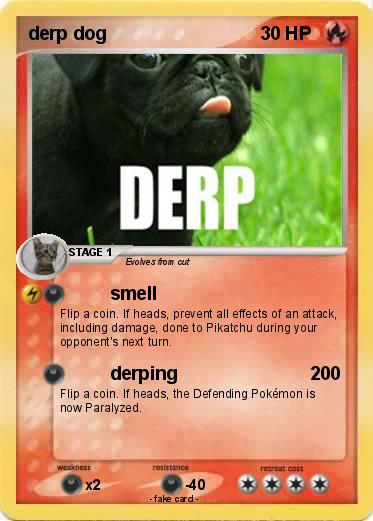 Pokemon derp dog