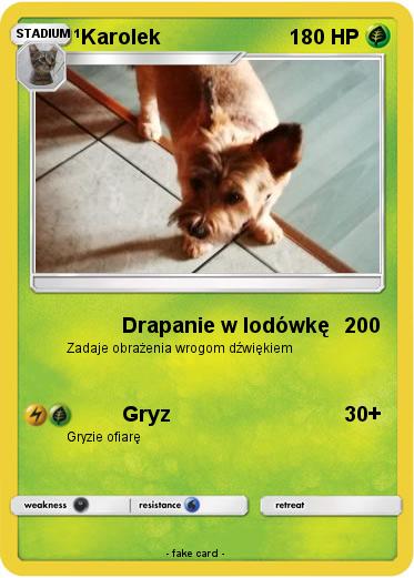 Pokemon Karolek