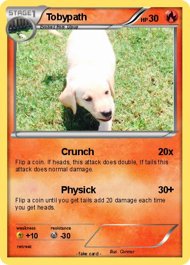 Pokemon Tobypath