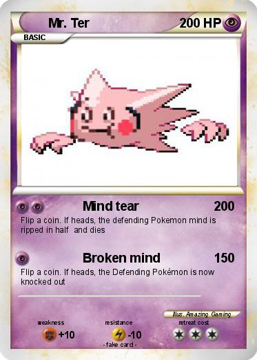 Pokemon Mr. Ter