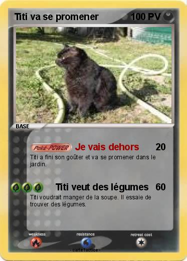 Pokemon Titi va se promener