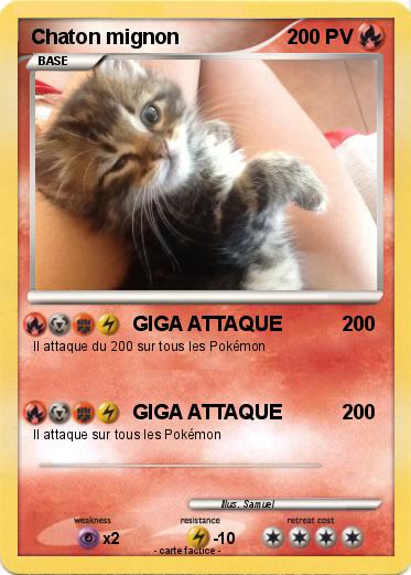 Pokemon Chaton mignon