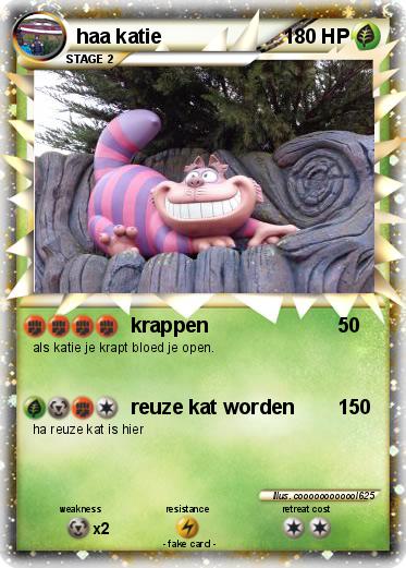 Pokemon haa katie