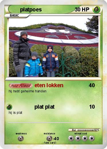 Pokemon platpoes