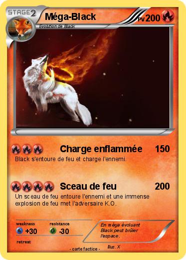 Pokemon Méga-Black