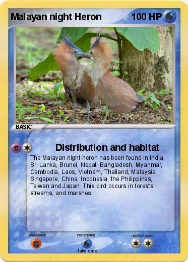 Pokemon Malayan night Heron