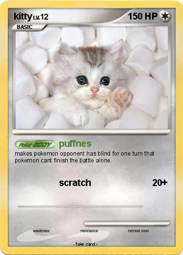 Pokemon kitty
