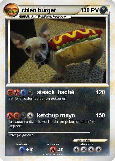 Pokemon chien burger