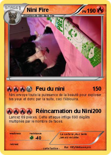 Pokemon Nini Fire