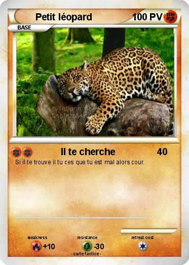 Pokemon Petit léopard