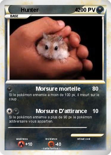 Pokemon Hunter                        4