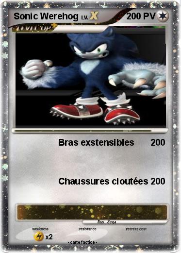 Pokemon Sonic Werehog