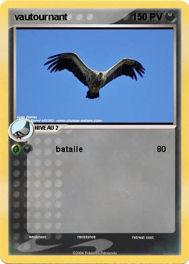 Pokemon vautournant