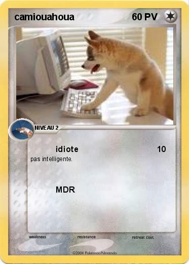 Pokemon camiouahoua