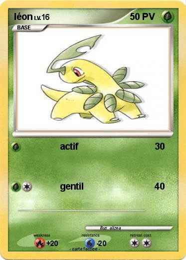 Pokemon léon