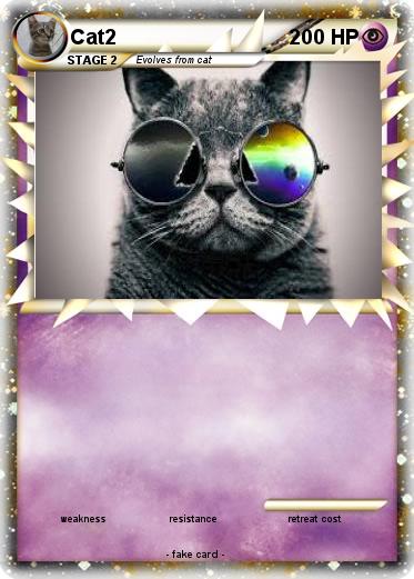 Pokemon Cat2