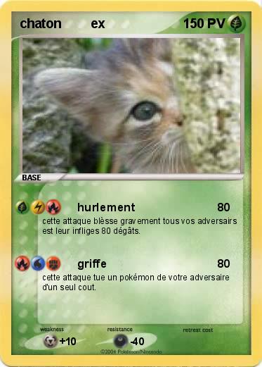 Pokemon chaton        ex            