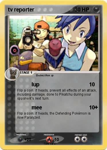 Pokemon tv reporter