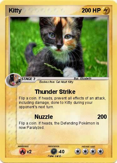 Pokemon Kitty