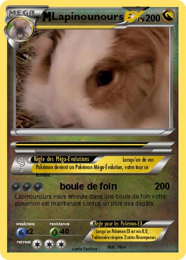 Pokemon Lapinounours