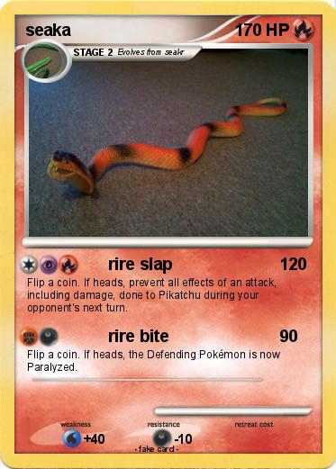 Pokemon seaka