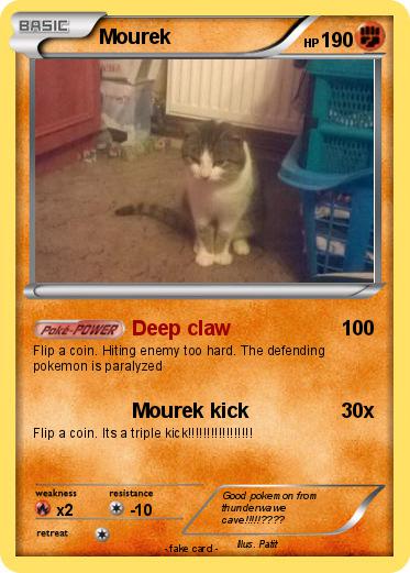 Pokemon Mourek