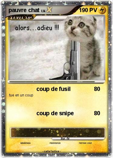 Pokemon pauvre chat