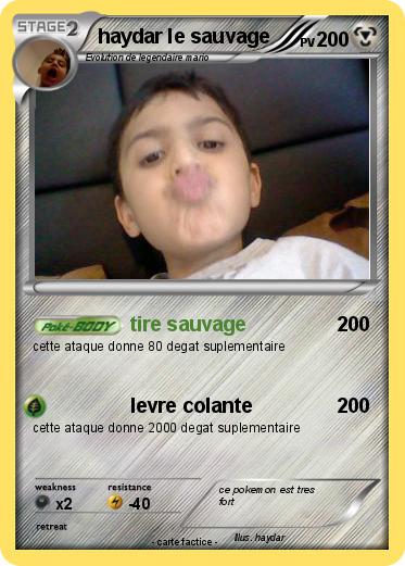 Pokemon haydar le sauvage