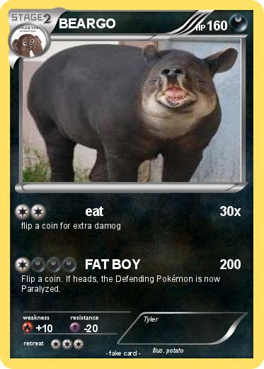 Pokemon BEARGO