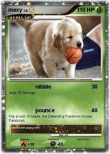 Pokemon maxy