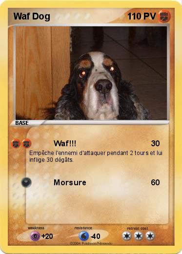 Pokemon Waf Dog