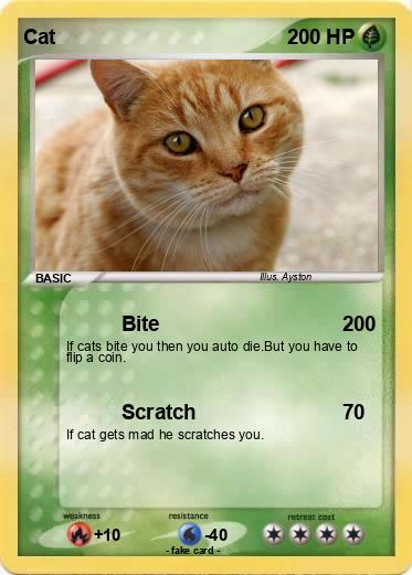 Pokemon Cat