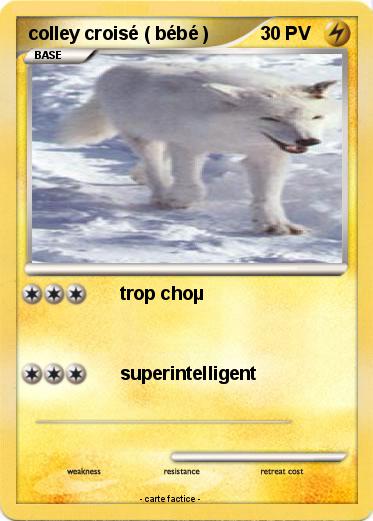 Pokemon colley croisé ( bébé )