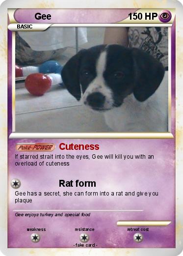 Pokemon Gee