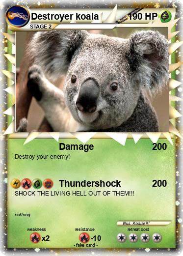 Pokemon Destroyer koala
