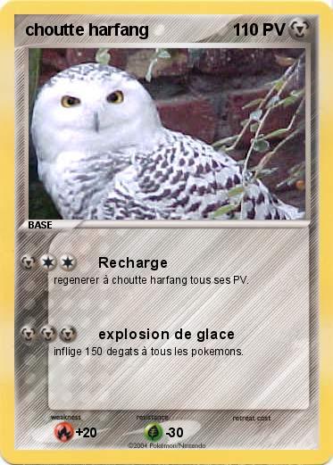 Pokemon choutte harfang