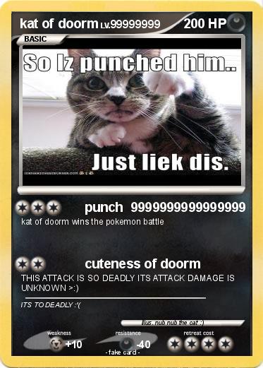 Pokemon kat of doorm