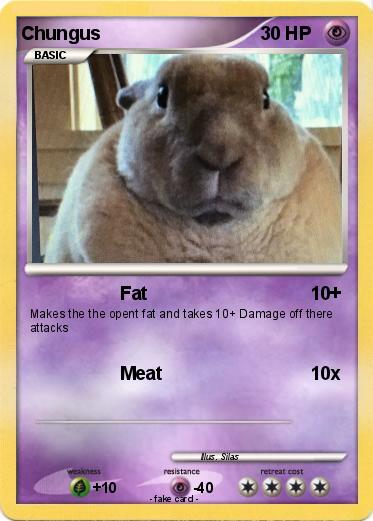 Pokemon Chungus
