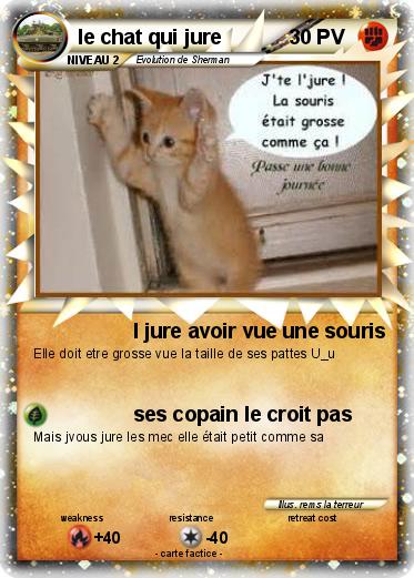 Pokemon le chat qui jure