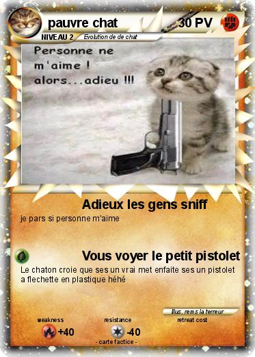 Pokemon pauvre chat