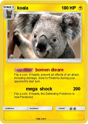 Pokemon koala