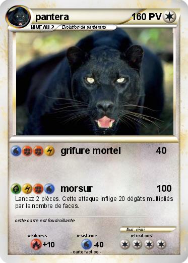 Pokemon pantera