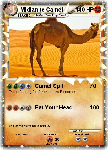 Pokemon Midianite Camel