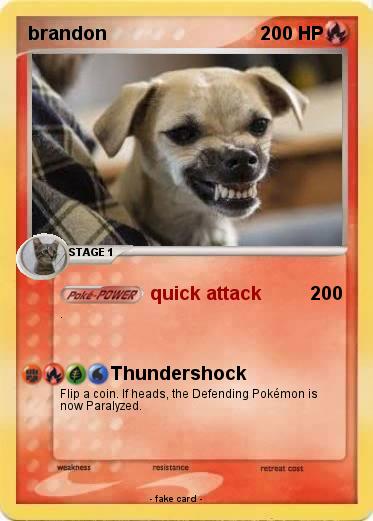 Pokemon brandon