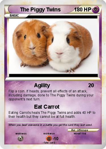 Pokemon The Piggy Twins