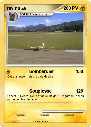 Pokemon ravina